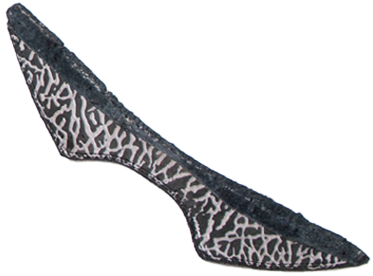 sneaker_cutout